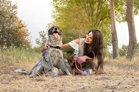 Joven Mujer Jugando Con Perros Vídeos libres de derechos